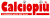 Cronaca